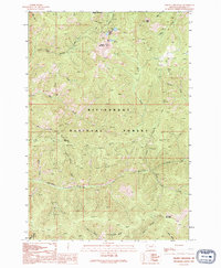 Piquett Mountain 1991 topographic map thumbnail