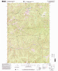 Piquett Mountain 1998 topographic map thumbnail