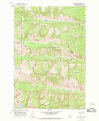 Printz Ridge 1966 topographic map preview