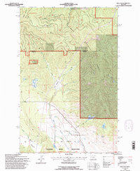 Proctor 1994 topographic map thumbnail