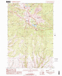 Ramshorn Mountain 1988 topographic map thumbnail