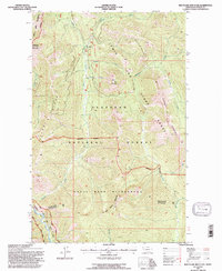 Red Plume Mountain 1994 topographic map thumbnail