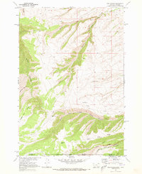 Red Springs 1969 topographic map preview