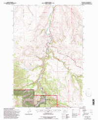 Riceville 1995 topographic map thumbnail