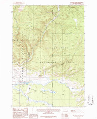 Richards Creek 1986 topographic map thumbnail