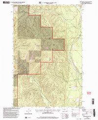Richards Peak 1999 topographic map thumbnail