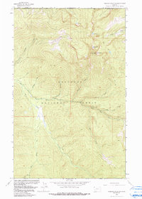 Robinson Mountain 1963 topographic map thumbnail