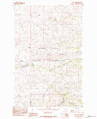 Rocky Boy 1984 topographic map thumbnail