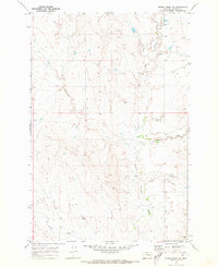 Rough Creek SW 1969 topographic map thumbnail