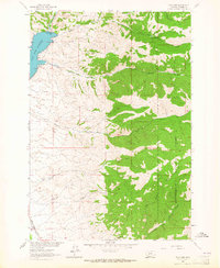 Ruby Dam 1963 topographic map thumbnail