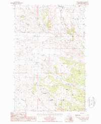 Runyan Bench 1987 topographic map thumbnail