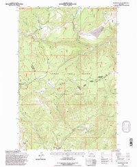 Russian Flat 1995 topographic map thumbnail