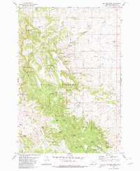Rustler Divide 1980 topographic map thumbnail