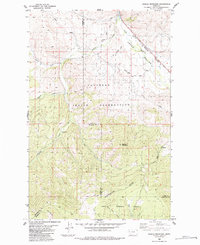 Saddle Mountain 1984 topographic map thumbnail