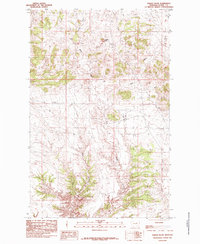 Saddle Rock 1985 topographic map thumbnail