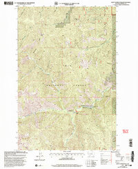 Saint Patrick Peak 1999 topographic map thumbnail