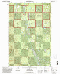 Salmon Prairie 1994 topographic map thumbnail
