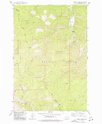 Sawmill Saddle 1974 topographic map thumbnail