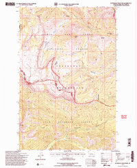 Scapegoat Mountain 1995 topographic map thumbnail