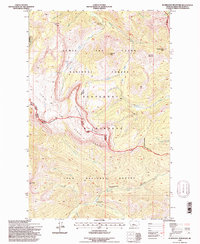 Scapegoat Mountain 1995 topographic map thumbnail