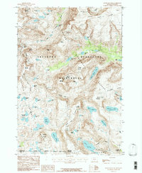 Silver Run Peak 1986 topographic map thumbnail