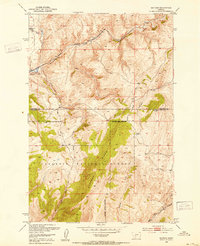 Sixteen 1948 topographic map thumbnail