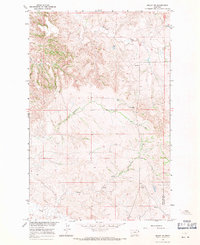 Skaar NW 1966 topographic map thumbnail