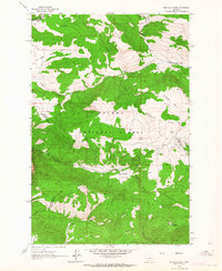 Snedaker Basin 1962 topographic map thumbnail