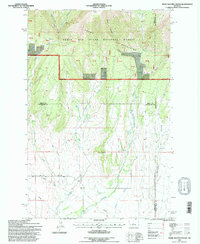 Snow Saucer Coulee 1995 topographic map thumbnail