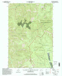 Spink Point 1996 topographic map thumbnail
