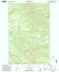 Spotted Bear Mountain 1994 topographic map thumbnail