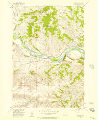 Springtime 1955 topographic map thumbnail