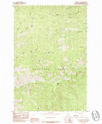 St Patrick Peak topographic map thumbnail