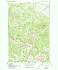 Steamboat Mountain 1970 topographic map thumbnail