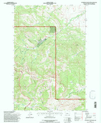 Steamboat Mountain 1995 topographic map thumbnail
