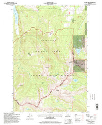 Storm Lake 1996 topographic map thumbnail