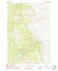 Storm Peak 1988 topographic map thumbnail