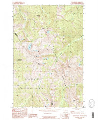 Straight Peak 1985 topographic map thumbnail