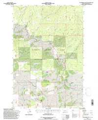 Strawberry Butte 1995 topographic map thumbnail