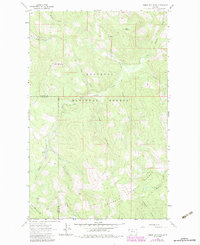 Sunday Mountain 1963 topographic map thumbnail