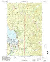 Swan lake 1994 topographic map thumbnail