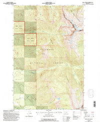 Swan Peak 1994 topographic map thumbnail