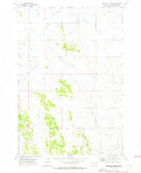 T Creek 1973 topographic map thumbnail