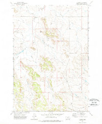 T Creek 1973 topographic map thumbnail