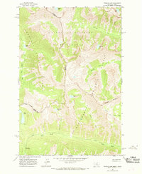 Tenmile Lake 1964 topographic map thumbnail