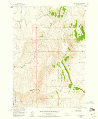 The Big Slide 1956 topographic map thumbnail