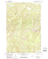 Thunder Mountain 1967 topographic map thumbnail