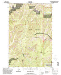Thunder Mountain 1995 topographic map thumbnail