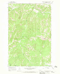 Thunder Mountain 1967 topographic map thumbnail