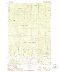 Thunderbolt Creek 1985 topographic map thumbnail